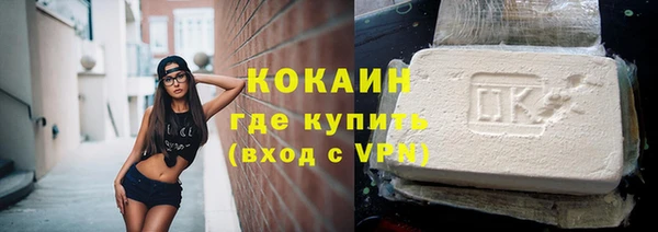 сатива Бородино