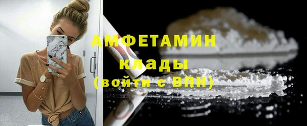 сатива Бородино