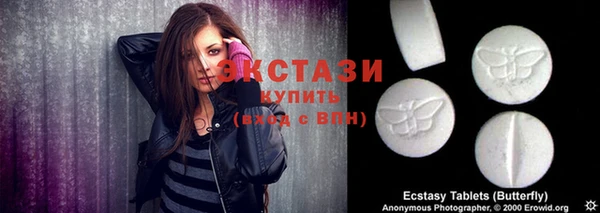 сатива Бородино