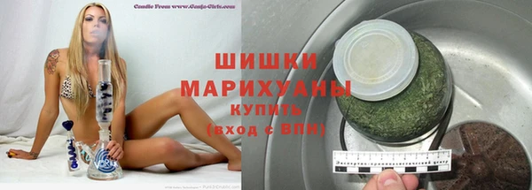 сатива Бородино