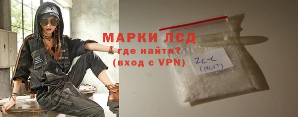 сатива Бородино