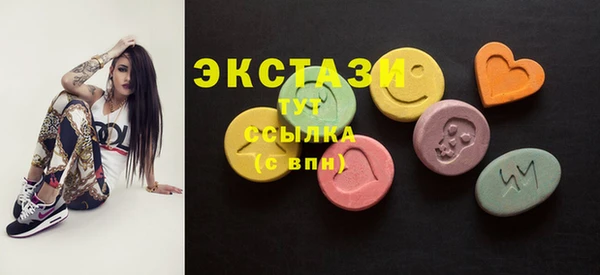 сатива Бородино
