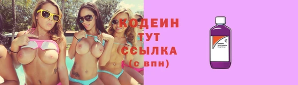 сатива Бородино