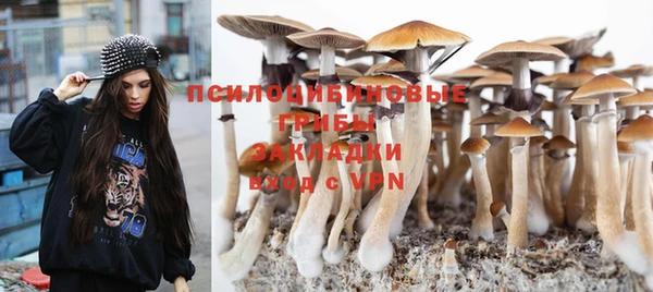 тгк Бугульма
