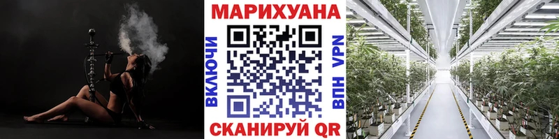 Канабис сатива  Купить закладки  Ершов 